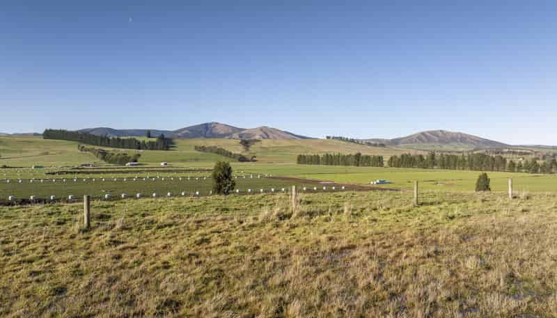690 Kakapo Road, Te Anau
