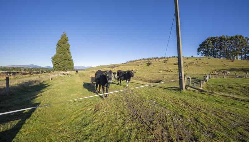 690 Kakapo Road, Te Anau