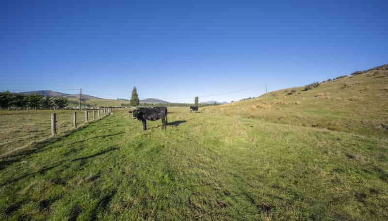 690 Kakapo Road, Te Anau
