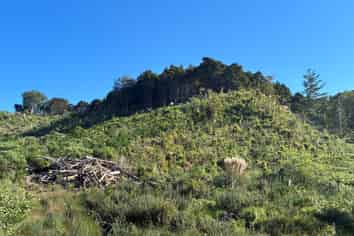  Taraunui Road, Parua Bay