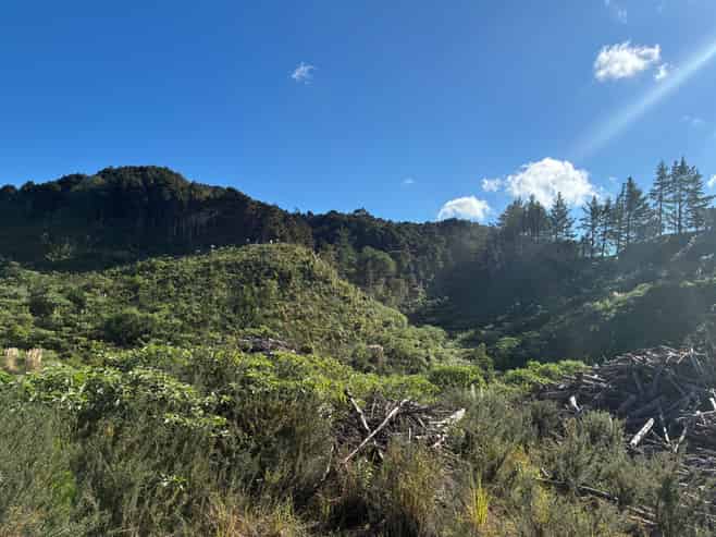  Taraunui Road, Parua Bay