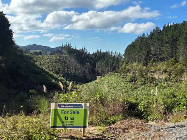  Taraunui Road, Parua Bay