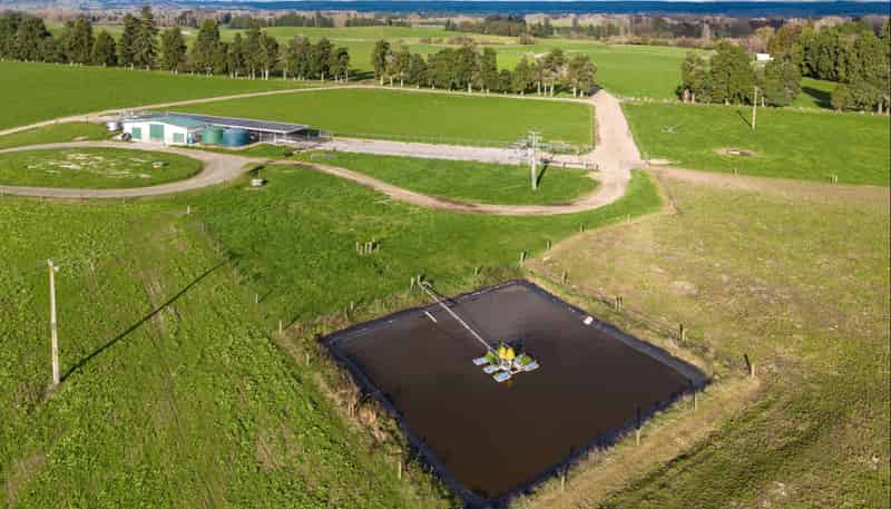365 Halcrow Road, Reporoa