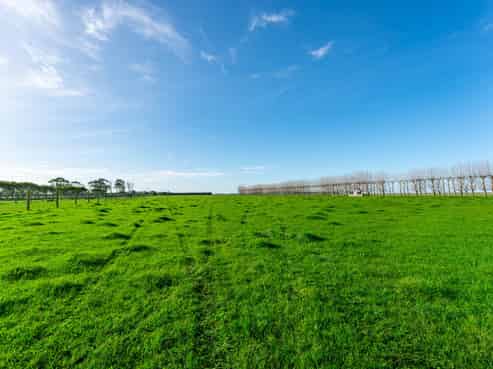  Seaforth Settlement Road, Seadown