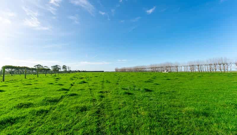 Seaforth Settlement Road, Seadown