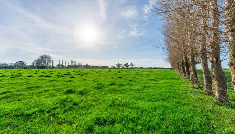  Seaforth Settlement Road, Seadown