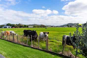 11 Lowburn Avenue, Waipu