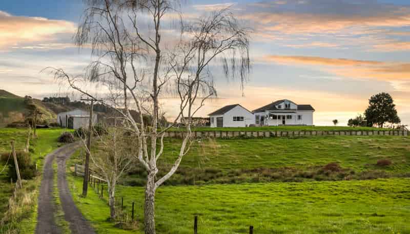 454 Rotokohu Road, PAEROA