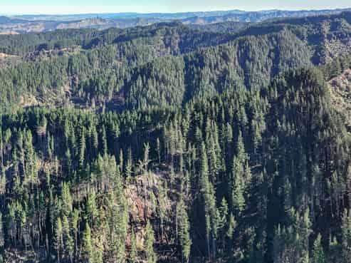 322 Creek Road, Mangamahu