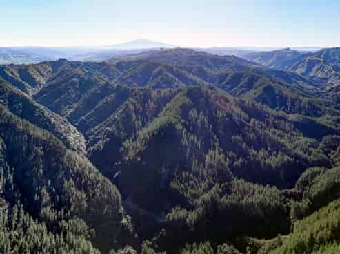 322 Creek Road, Mangamahu