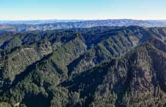 322 Creek Road, Mangamahu
