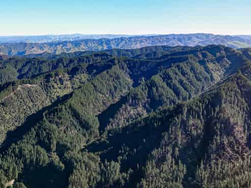 322 Creek Road, Mangamahu