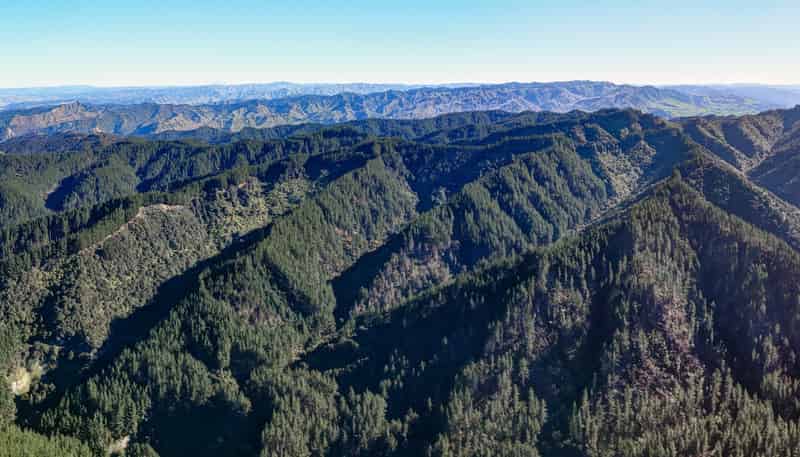 322 Creek Road, Mangamahu