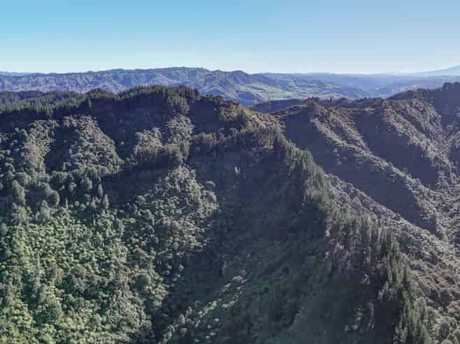 322 Creek Road, Mangamahu