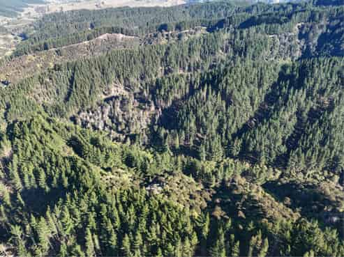 322 Creek Road, Mangamahu