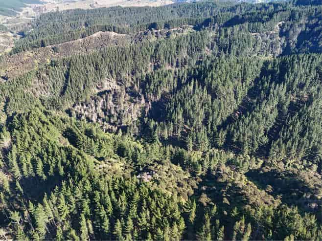 322 Creek Road, Mangamahu