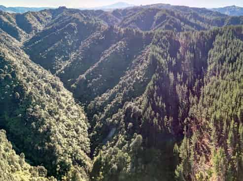 322 Creek Road, Mangamahu