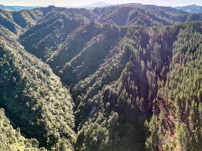 322 Creek Road, Mangamahu