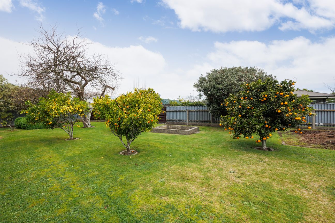 Brick Family Home, 220m² of Exciting Potential! - Vista 2
