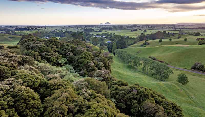 70C Withy Road, Manawahe