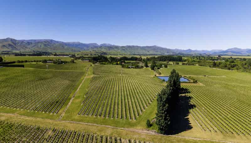 160 Shandon Road, Waihopai Valley