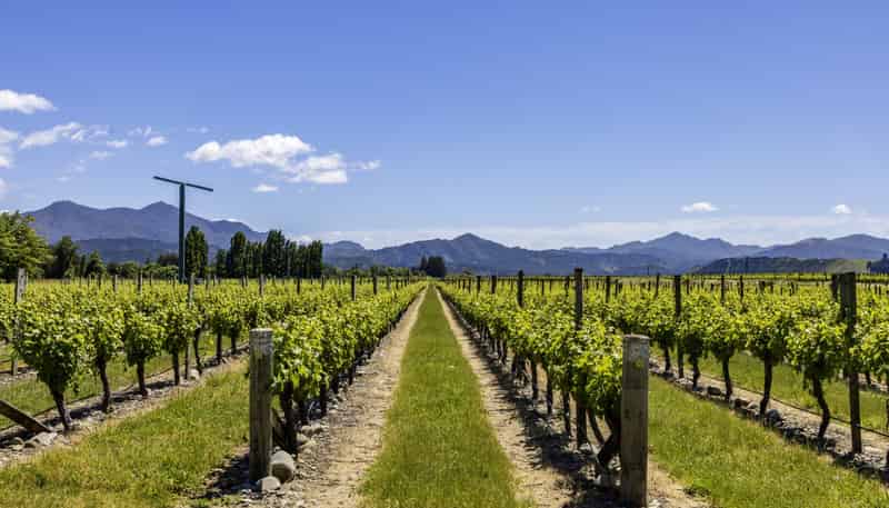 160 Shandon Road, Waihopai Valley