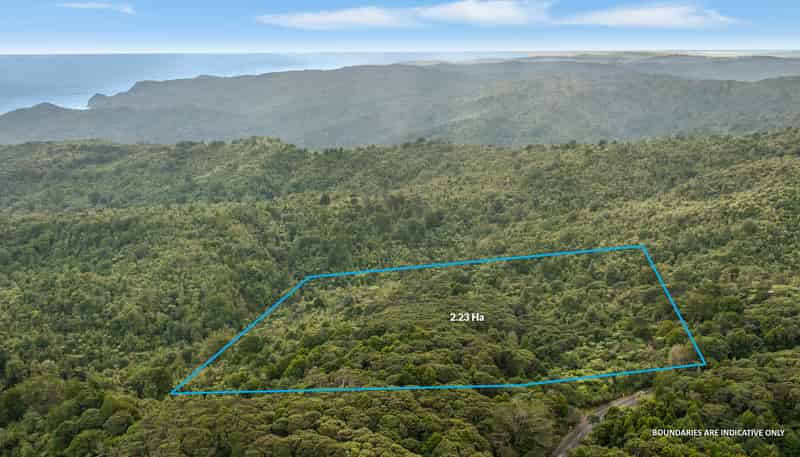 254 Piha Road, Piha