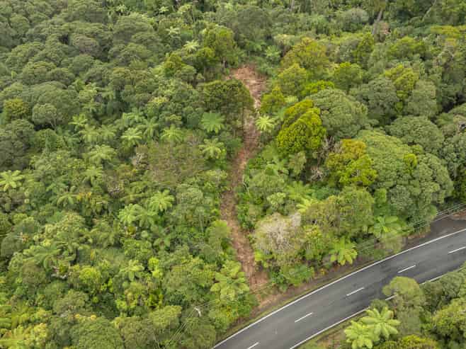 254 Piha Road, Piha