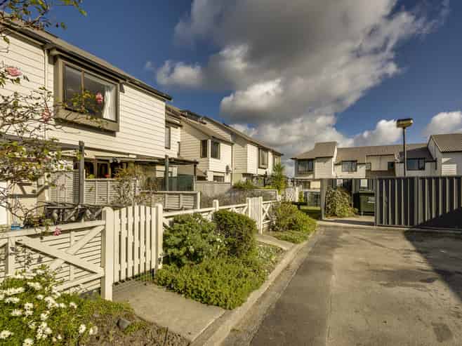 Significant Napier CBD portfolio - buy 1, 2 or 3