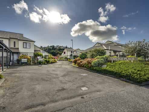 Significant Napier CBD portfolio - buy 1, 2 or 3