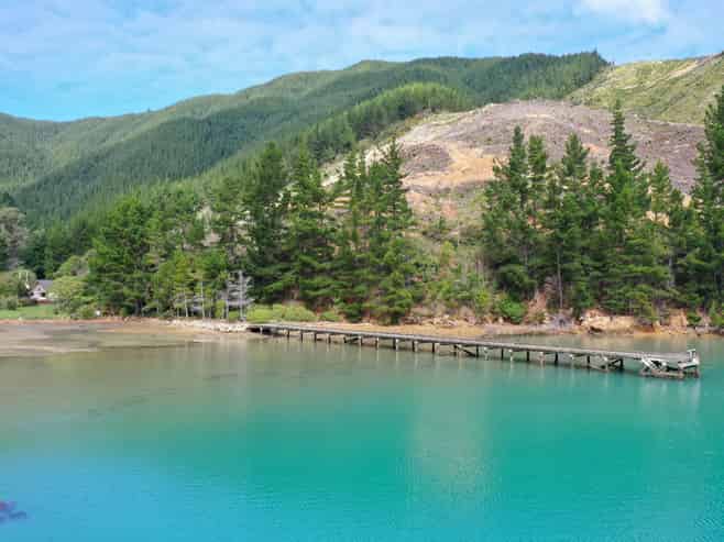  Queen Charlotte Forest, Onapua Bay, Admiralty Bay