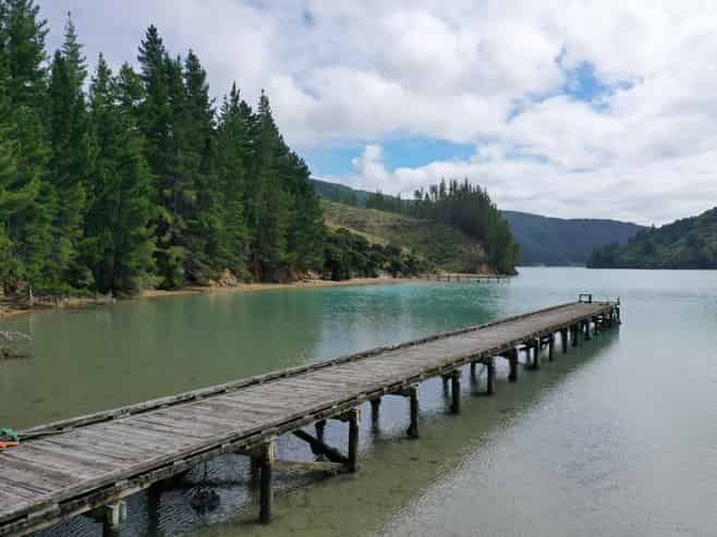  Queen Charlotte Forest, Onapua Bay, Admiralty Bay