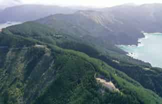  Queen Charlotte Forest, Onapua Bay, Admiralty Bay