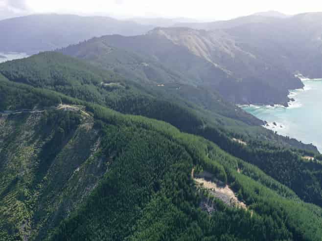 Queen Charlotte Forest, Onapua Bay, Admiralty Bay