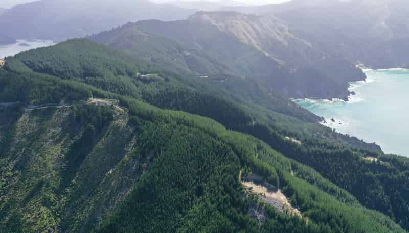  Queen Charlotte Forest, Onapua Bay, Admiralty Bay
