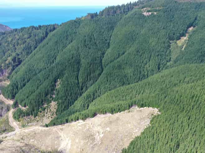  Queen Charlotte Forest, Onapua Bay, Admiralty Bay