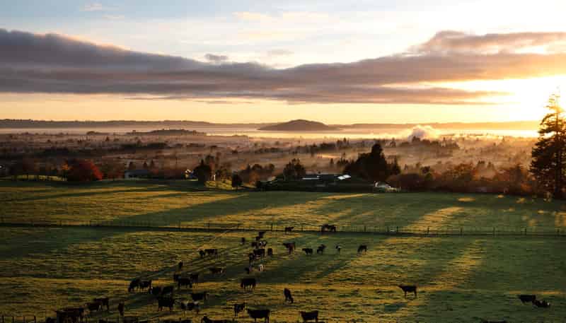 363 Pukehangi Road, Sunnybrook