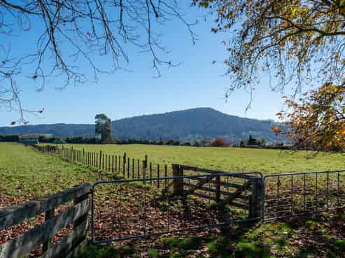 Large-scale Rotorua residential opportunity