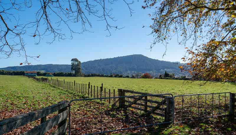 363 Pukehangi Road, Sunnybrook