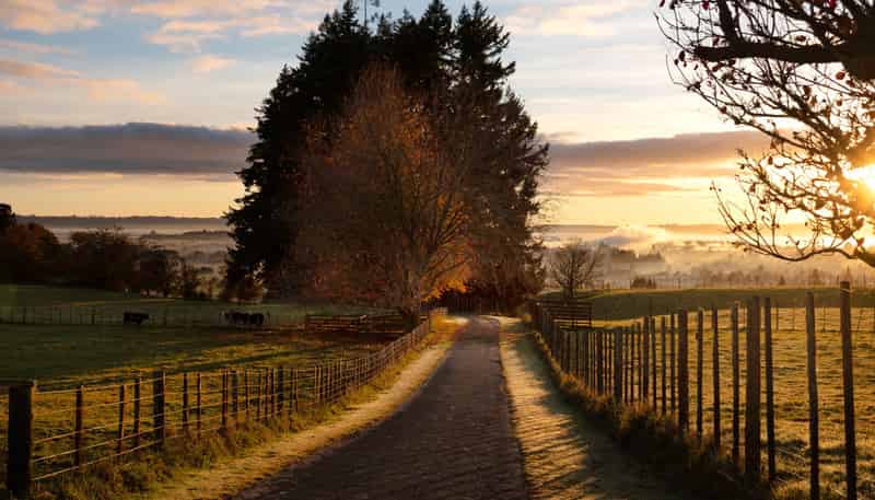 363 Pukehangi Road, Sunnybrook