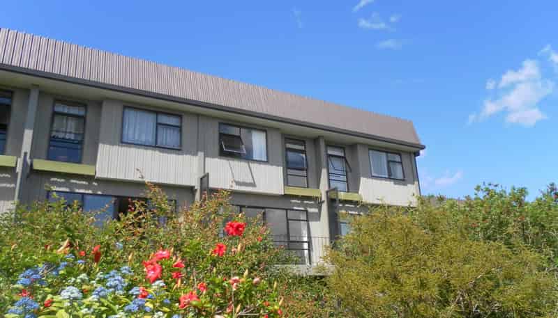 14/9 Hayden Street, Freemans Bay