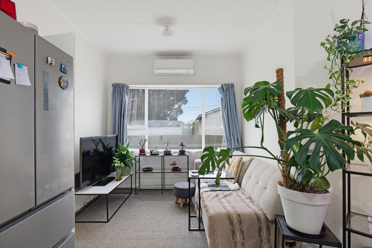Double value Two Central City high yielding flats - Več