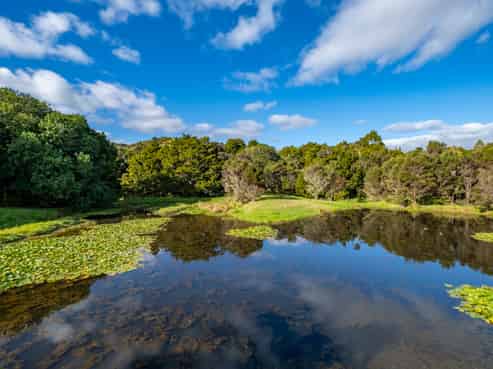 445 Duncan Road, Kaingaroa