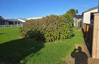43/A Princess Street, Waitara
