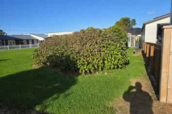 43/A Princess Street, Waitara