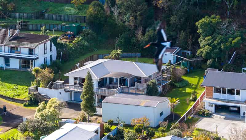 724 Tararu Road, Thames