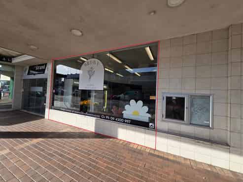 Central Retail Opportunity - The Strand