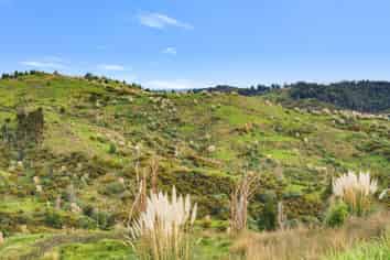 600C Bickerstaffe Road, Maungaturoto