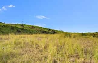 600C Bickerstaffe Road, Maungaturoto