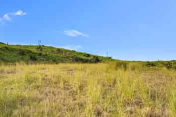 600C Bickerstaffe Road, Maungaturoto